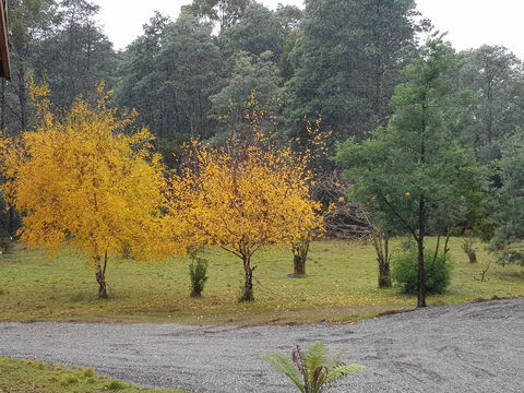 Cradle Alpine Retreat - Accommodation Burleigh 3