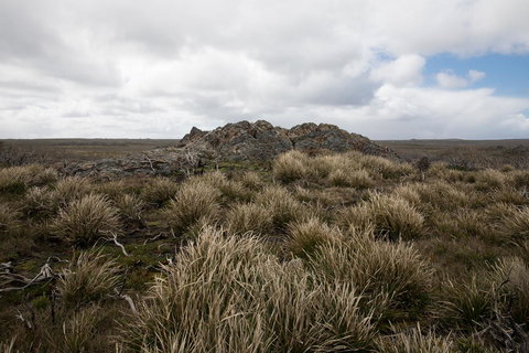 Arthur Riverfront And Sea Lodge Downstream - Accommodation Burleigh 34