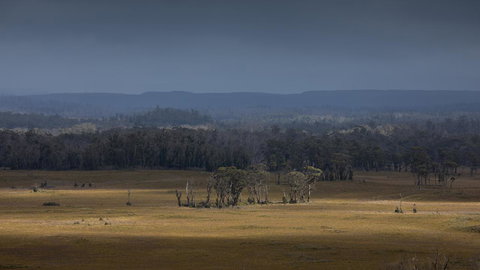 Arthur Riverfront And Sea Lodge Downstream - Accommodation Burleigh 42