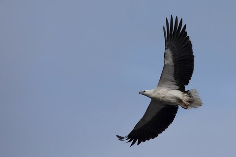 Arthur Riverfront And Sea Lodge Downstream - Accommodation Burleigh 37