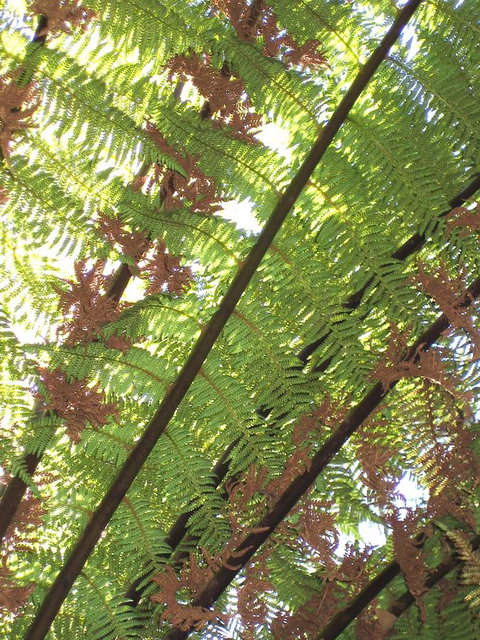 Arthur Riverfront And Sea Lodge Downstream - Accommodation Burleigh 31