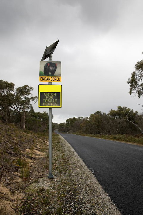 Arthur Riverfront And Sea Lodge Downstream - Accommodation Burleigh 39