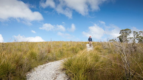 Arthur Riverfront And Sea Lodge Downstream - Accommodation Burleigh 35