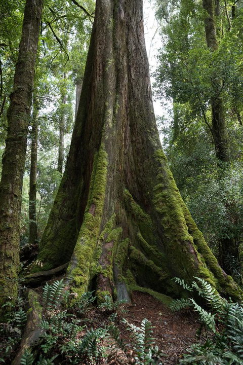 Arthur Riverfront And Sea Lodge Downstream - Accommodation Burleigh 33