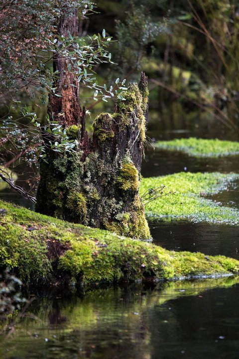 Arthur Riverfront And Sea Lodge Downstream - Accommodation Burleigh 30