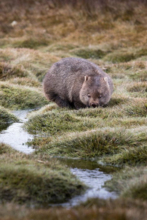 Arthur Riverfront And Sea Lodge Downstream - Accommodation Burleigh 40