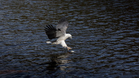 Arthur Riverfront And Sea Lodge Downstream - Accommodation Burleigh 38