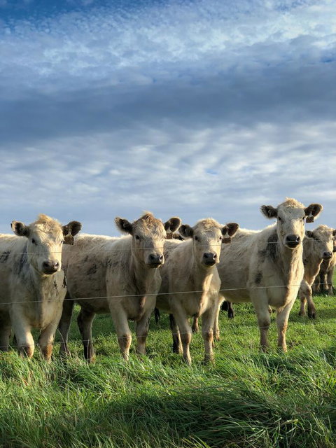 Arthur Riverfront And Sea Lodge Downstream - Accommodation Burleigh 43