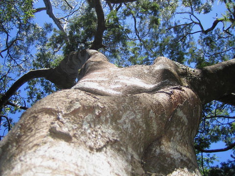 Arthur Riverfront And Sea Lodge Downstream - Accommodation Burleigh 32