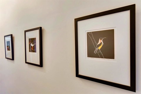 WEST NEST | Classic 3BR Hobart Terrace BEST Location, View, Close To City - Accommodation Burleigh 24