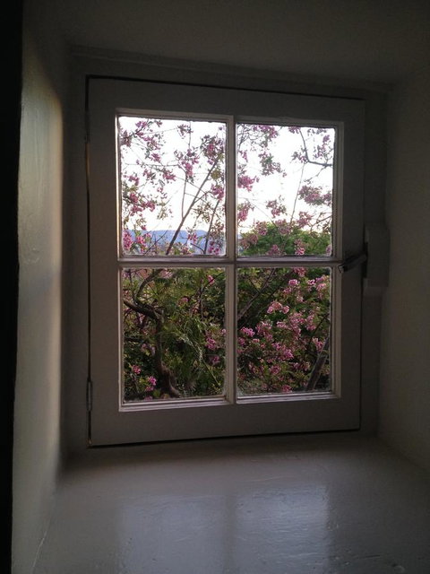 Blue Magnolia - Accommodation Burleigh 36