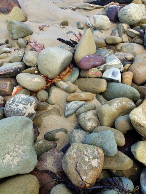 Lorne Surf Apartments - Accommodation Burleigh 15