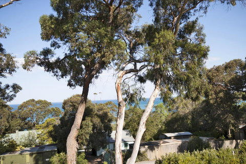 Lorne Surf Apartments - Accommodation Burleigh 6