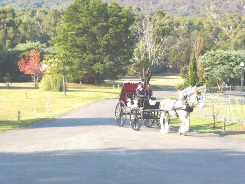 The Grampians Motel - Accommodation Burleigh 24