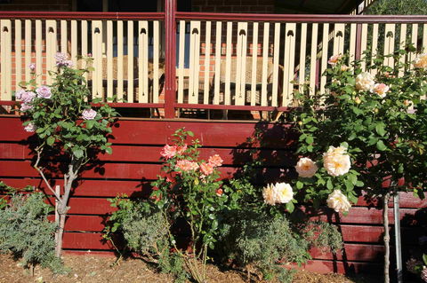 Oxford Rise Apartment - Accommodation Burleigh 21