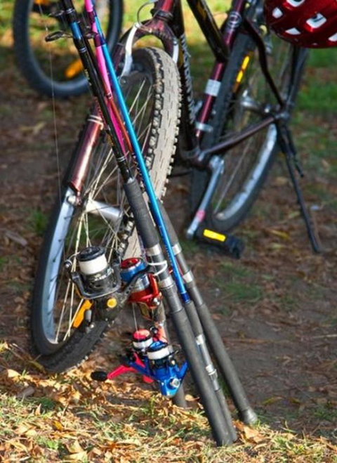 Marysville Caravan And Holiday Park - Accommodation Burleigh 29