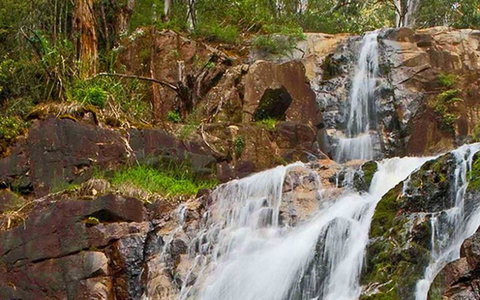 Marysville Caravan And Holiday Park - Accommodation Burleigh 37