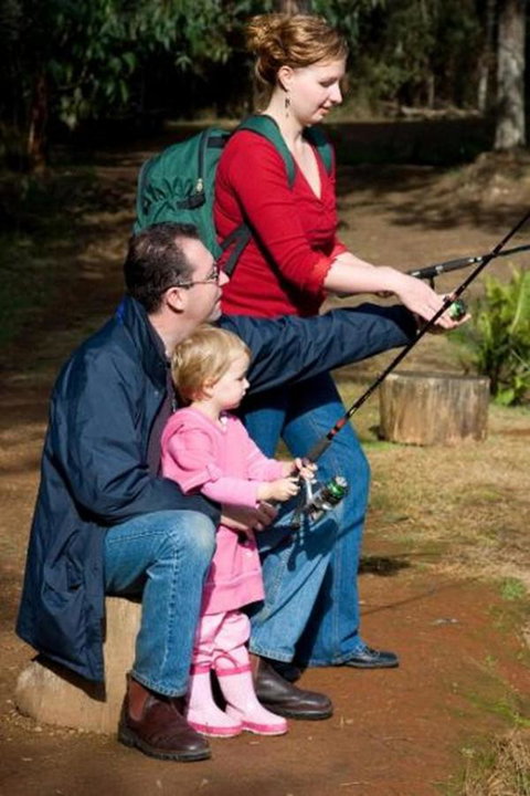 Marysville Caravan And Holiday Park - Accommodation Burleigh 22