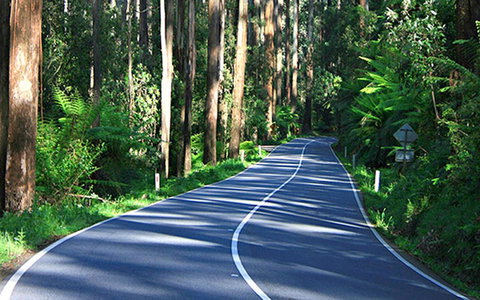 Marysville Caravan And Holiday Park - Accommodation Burleigh 40