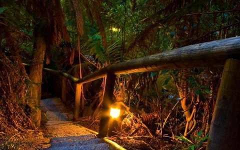 Marysville Caravan And Holiday Park - Accommodation Burleigh 27