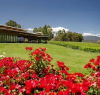 Balgownie Estate Vineyard Resort  Spa - Accommodation Burleigh