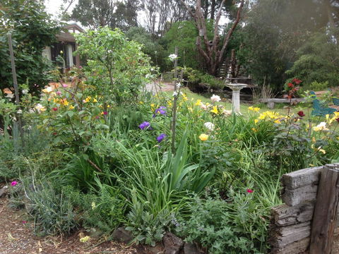 Mud Hollow Barn - Accommodation Burleigh 15