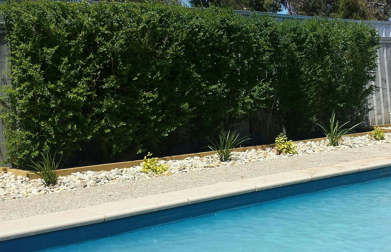 Liparoo VIC Accommodation Burleigh