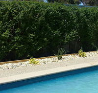 Robinvale Bridge Motel - Accommodation Burleigh