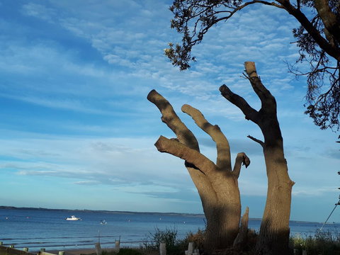 Apartments In Phillip Island Towers - Block C - Accommodation Burleigh 10