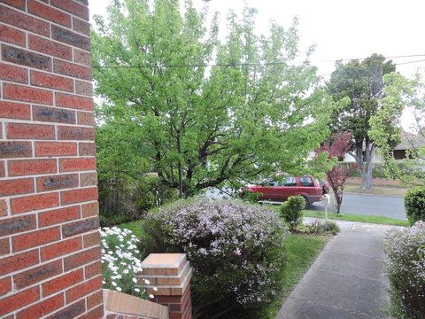 Monash And Chadstone WiFi - Accommodation Burleigh 2