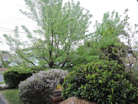 Monash And Chadstone WiFi - Accommodation Burleigh 4