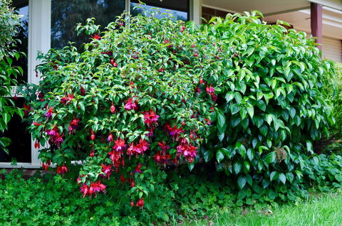 Crimea Retreat - Accommodation Burleigh 18
