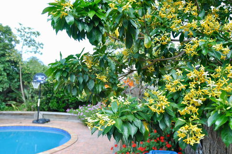 Crimea Retreat - Accommodation Burleigh 20