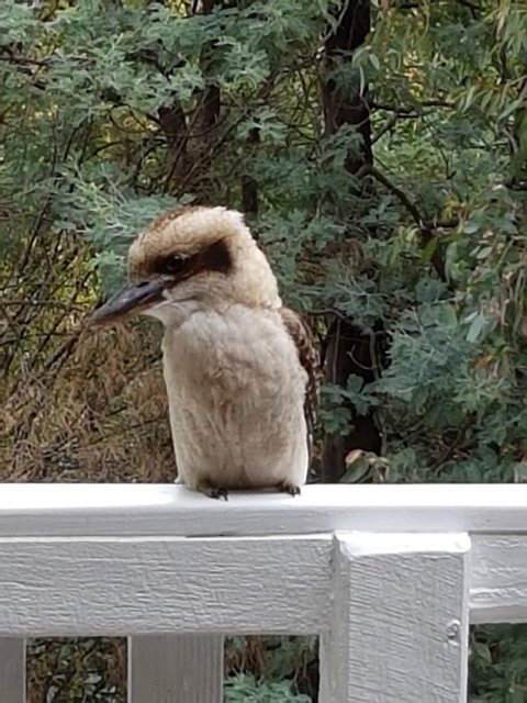 Tangenong Cottages - Accommodation Burleigh 10