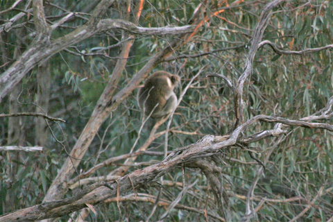 Tangenong Cottages - Accommodation Burleigh 8