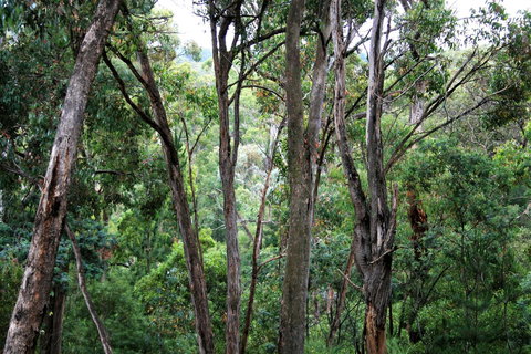 Tangenong Cottages - Accommodation Burleigh 9