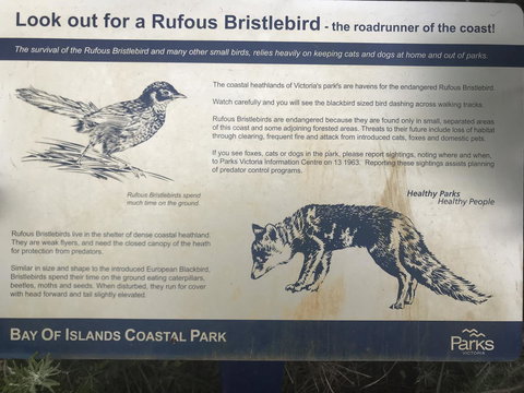 Sunsets On Martyrs Luxury Coastal Beach House Peterborough - Accommodation Burleigh 40