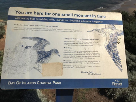 Sunsets On Martyrs Luxury Coastal Beach House Peterborough - Accommodation Burleigh 39