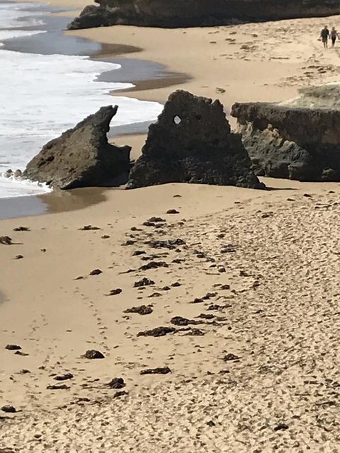 Sunsets On Martyrs Luxury Coastal Beach House Peterborough - Accommodation Burleigh 41