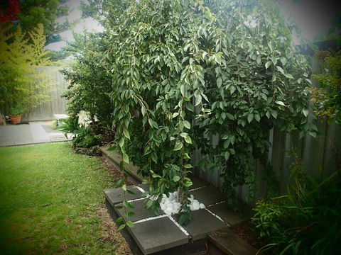 Azen Haven - Accommodation Burleigh 12