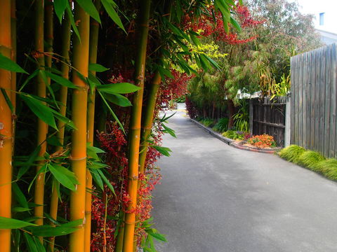 Azen Haven - Accommodation Burleigh 14