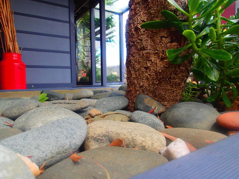 Azen Haven - Accommodation Burleigh 11