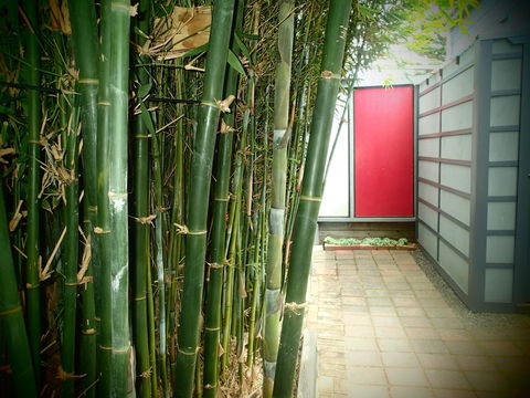 Azen Haven - Accommodation Burleigh 13