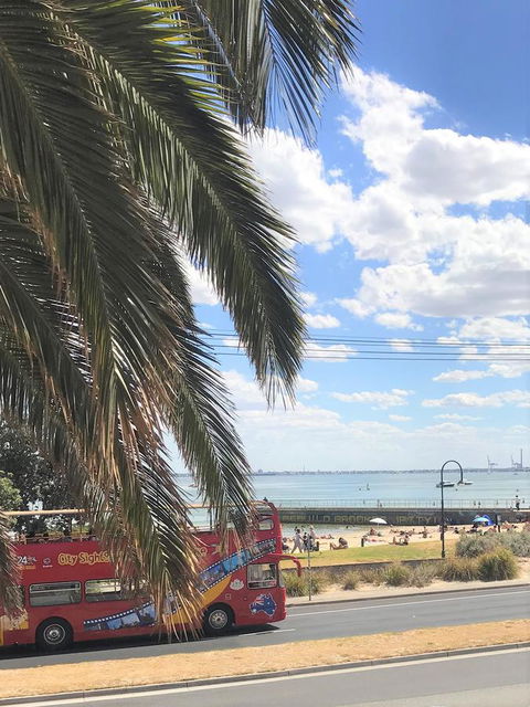 Beach Front Beauty - Accommodation Burleigh 23
