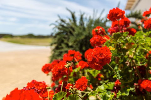 Cottages For Couples - Accommodation Burleigh 13