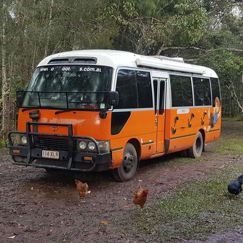 The Cabin - Accommodation Burleigh 3