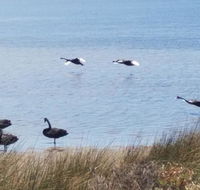 The DOLPHIN PLACE - Accommodation Burleigh