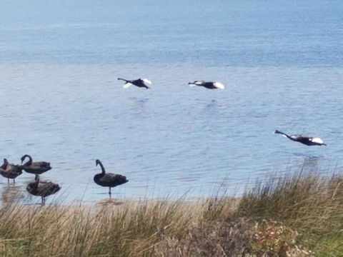 The DOLPHIN PLACE - Accommodation Burleigh 0