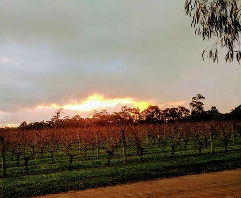 The Grove Distillery & Brewery - Accommodation Burleigh 2