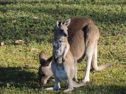 The Pouch B & B - Accommodation Burleigh 2